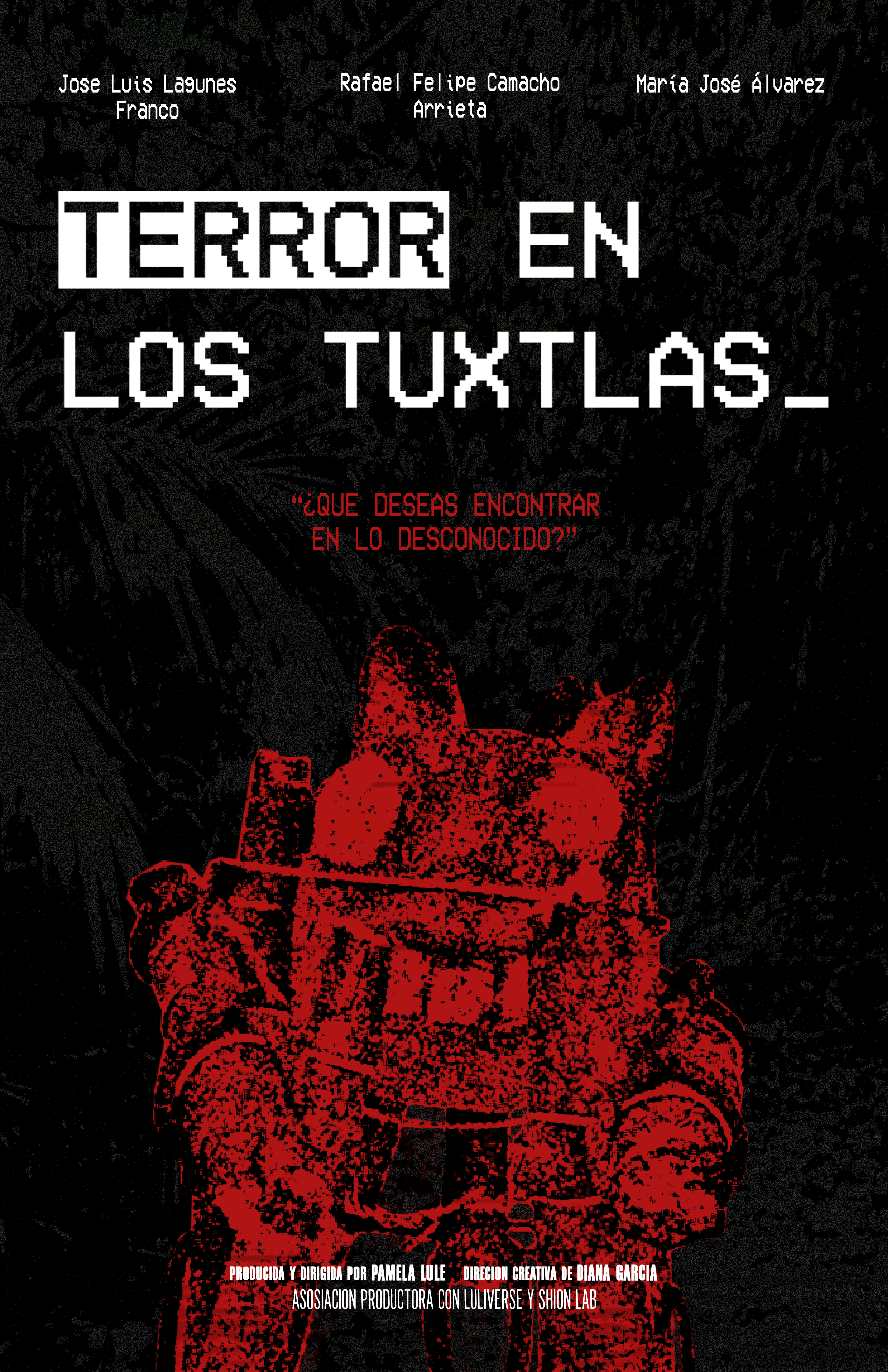 Proyecto 2